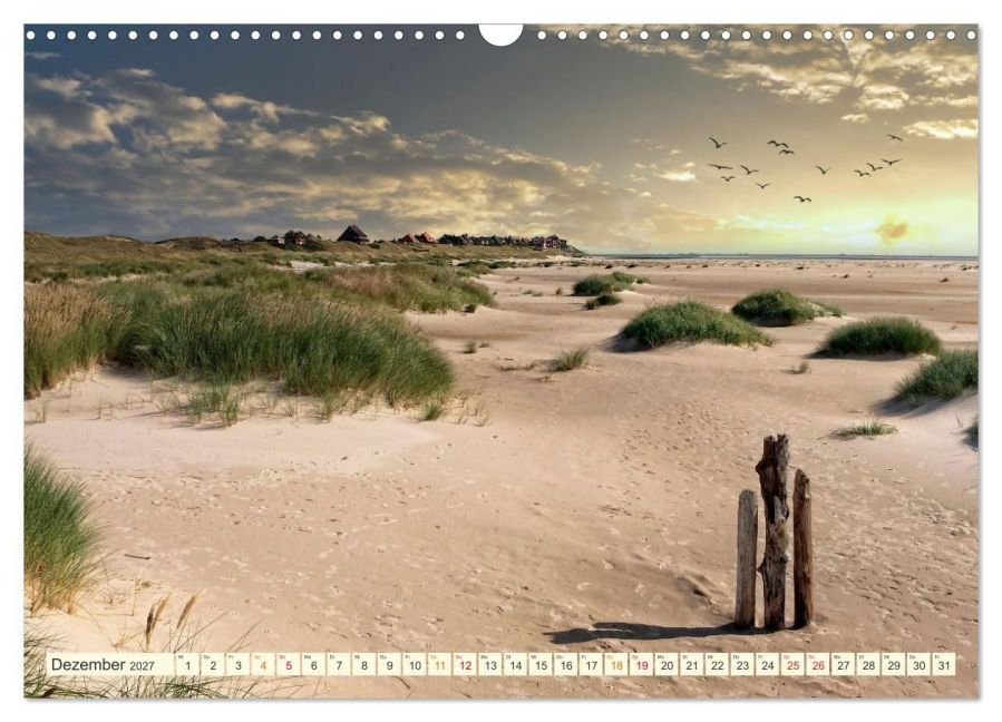 InsideView 4