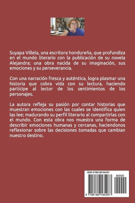 InsideView 1