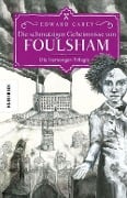 Die schmutzigen Geheimnisse von Foulsham - Edward Carey