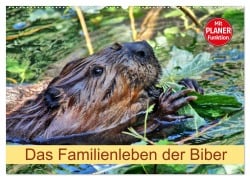 Cover-Bild zum Titel 'Das Familienleben der Biber (Wandkalender 2026 DIN A2 quer), CALVENDO Monatskalender' von 'Kattobello Kattobello'