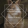 Cover-Bild zum Titel 'The Adventures of Peter Cottontail' von 'Thornton W. Burgess'