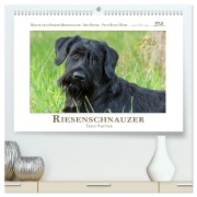 Cover-Bild zum Titel 'Riesenschnauzer - Treue Partner (hochwertiger Premium Wandkalender 2026 DIN A2 quer), Kunstdruck in Hochglanz' von 'Martina Wrede'