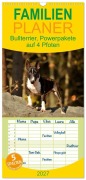 Cover-Bild zum Titel 'Familienplaner 2027 - Bullterrier, Powerpakete auf 4 Pfoten mit 5 Spalten (Wandkalender, 21 x 45 cm) CALVENDO' von 'Yvonne Janetzek'