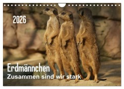 Cover-Bild zum Titel 'Erdmännchen - Zusammen sind wir stark / CH-Version (Wandkalender 2026 DIN A4 quer), CALVENDO Monatskalender' von 'Peter Hebgen'