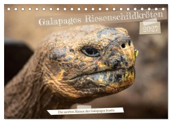 Cover-Bild zum Titel 'Die Riesenschildkröten der Galapagos Inseln (Tischkalender 2027 DIN A5 quer), CALVENDO Monatskalender' von 'In X Tagen um die Welt'