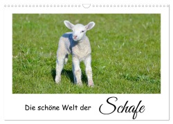 Cover-Bild zum Titel 'Die schöne Welt der Schafe (Wandkalender 2026 DIN A3 quer), CALVENDO Monatskalender' von 'Angela Rohde'