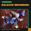 Balduin Brummsel - Manfred Kyber