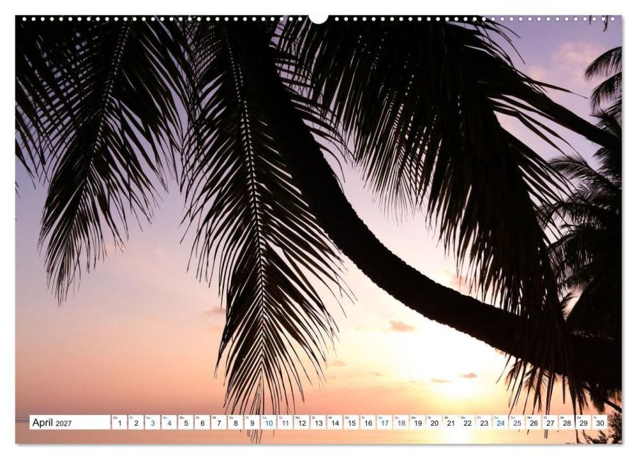 InsideView 9