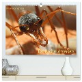 Exotische Ameisen (hochwertiger Premium Wandkalender 2025 DIN A2 quer), Kunstdruck in Hochglanz - Roland Störmer