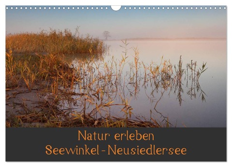 Natur erleben Seewinkel-Neusiedlersee (Wandkalender 2024 DIN A3 quer), CALVENDO Monatskalender - Johann Schörkhuber