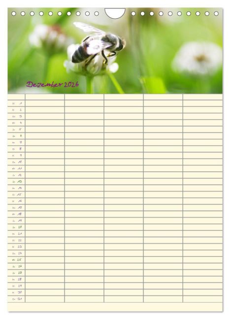 InsideView 4