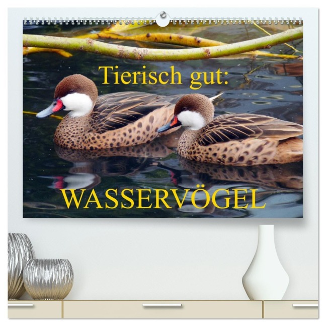 Tierisch gut: Wasservögel (hochwertiger Premium Wandkalender 2026 DIN A2 quer), Kunstdruck in Hochglanz - Gisela Kruse