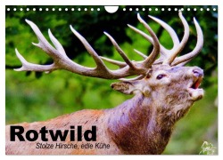 Cover-Bild zum Titel 'Rotwild. Edle Hirsche, stolze Kühe (Wandkalender 2026 DIN A4 quer), CALVENDO Monatskalender' von 'Elisabeth Stanzer'