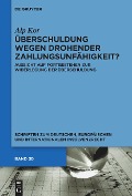 Cover-Bild zum Titel 'Überschuldung wegen drohender Zahlungsunfähigkeit?' von 'Alp Kor'