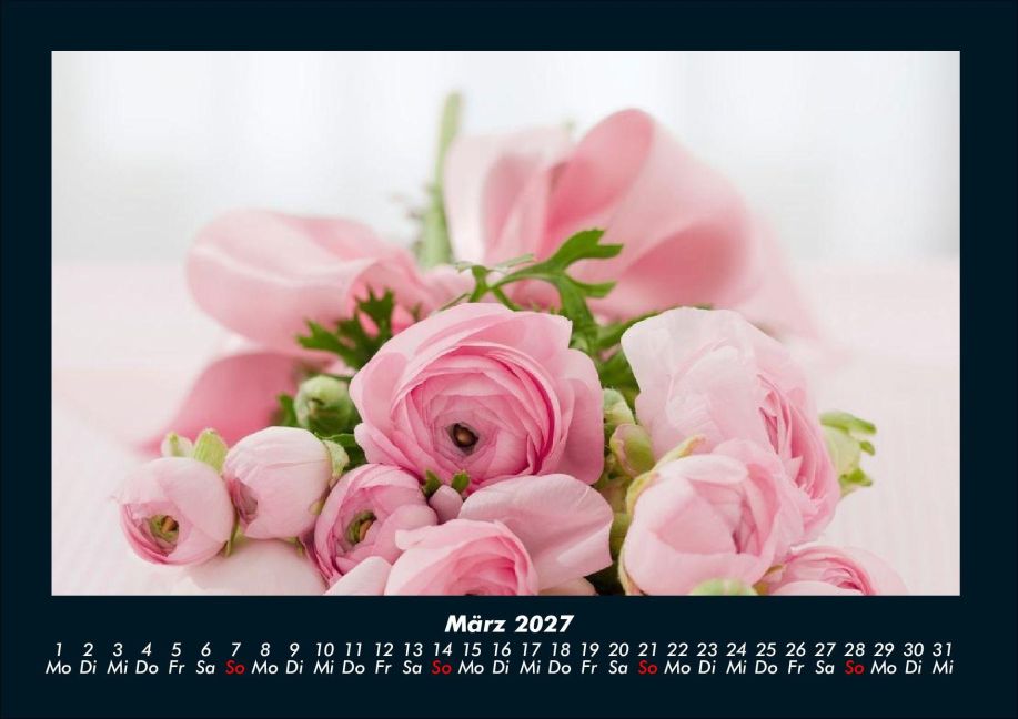 InsideView 7