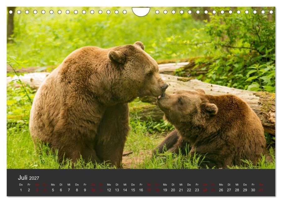 InsideView 12