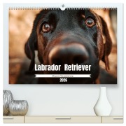 Verzauberung Labrador Retriever 2026 (hochwertiger Premium Wandkalender 2026 DIN A2 quer), Kunstdruck in Hochglanz - Sensiebelfotografie Saskia Katharina Siebel