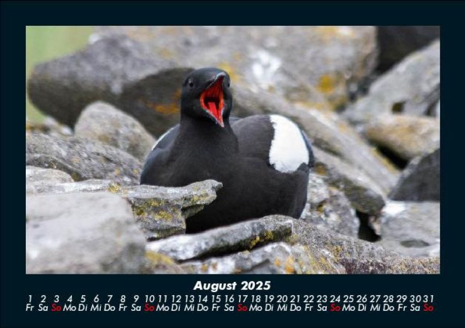 InsideView 12