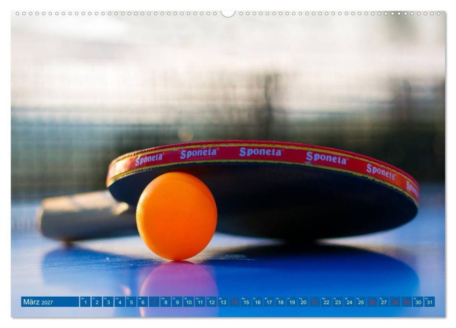 InsideView 8