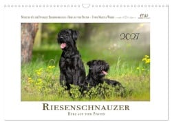 Cover-Bild zum Titel 'Riesenschnauzer - Herz auf vier Pfoten (Wandkalender 2027 DIN A3 quer), CALVENDO Monatskalender' von 'Martina Wrede - Wredefotografie'