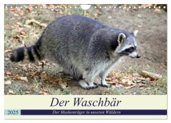 Der Waschbär - Der Maskenträger in unseren Wäldern (Wandkalender 2025 DIN A4 quer), CALVENDO Monatskalender - Arno Klatt