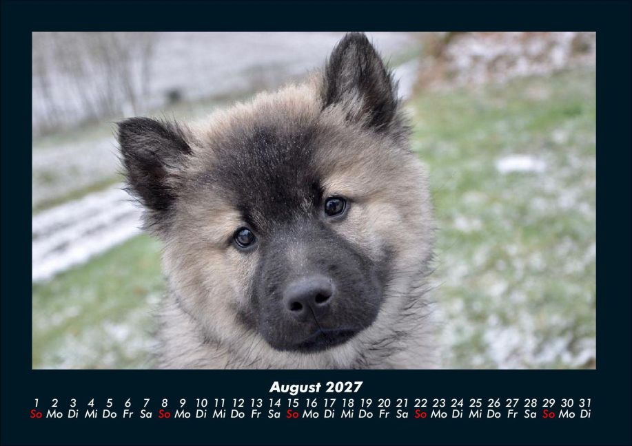 InsideView 12