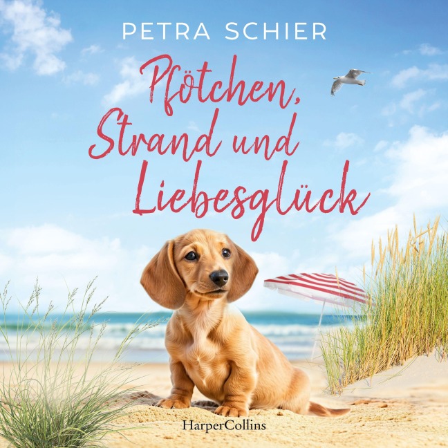 Pfötchen, Strand und Liebesglück - Petra Schier