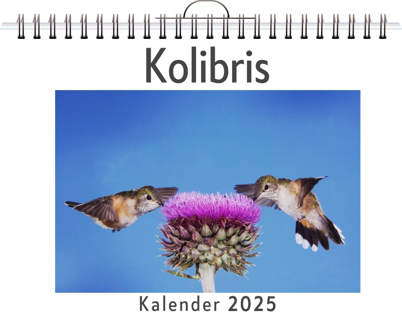 Kolibris - Lena Meier