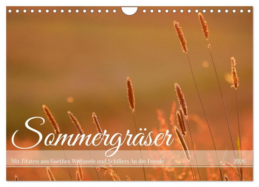Sommergräser (Wandkalender 2026 DIN A4 quer), CALVENDO Monatskalender - Daniela Tapper