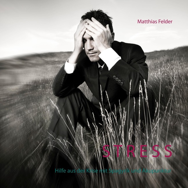 Stress - Matthias Felder