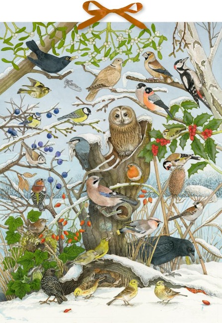 Sound-Adventskalender - 24 Vogelstimmen - 
