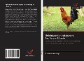 Cover-Bild zum Titel 'Rolnictwo kontraktowe na broilery w Libanie' von 'Rodrique Kozhaya'