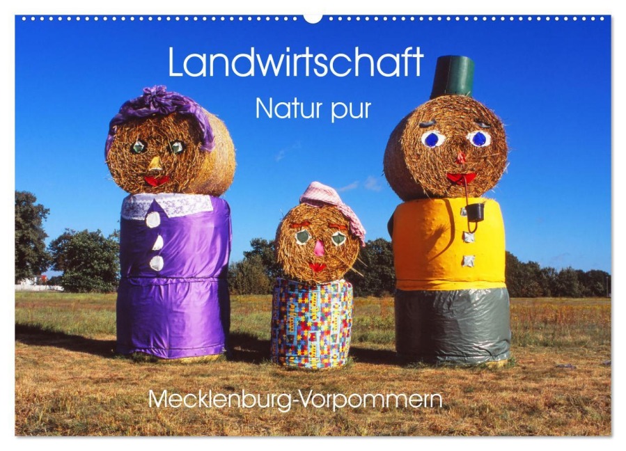 Landwirtschaft Natur pur Mecklenburg-Vorpommern (Wandkalender 2026 DIN A2 quer), CALVENDO Monatskalender - Reinhard Balzerek