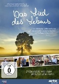 Cover-Bild zum Titel 'Lied des Lebens' von 'Irene Langemann'