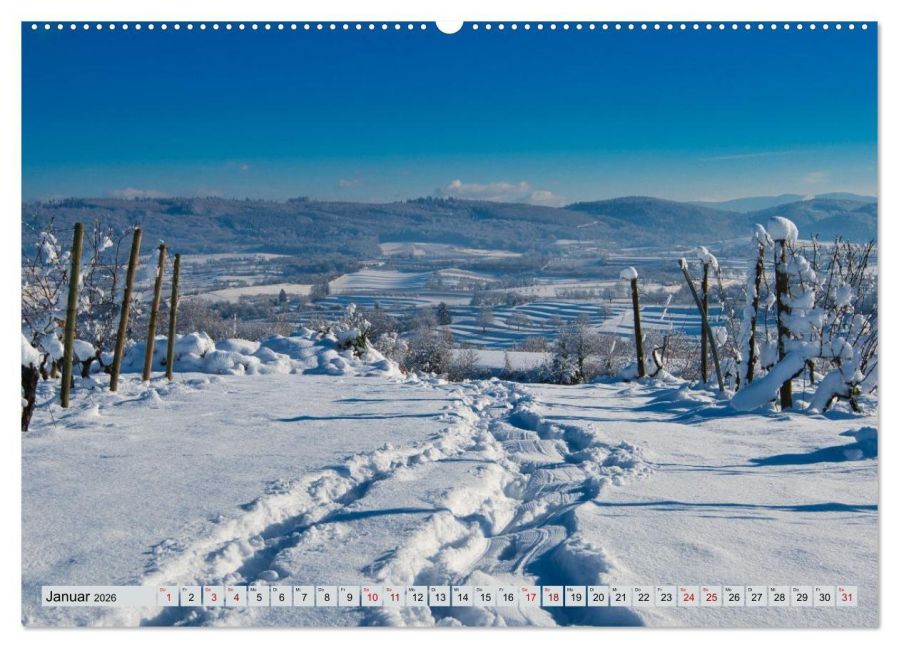 InsideView 6