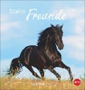 Pferde Postkartenkalender 2025 - Starke Freunde - 