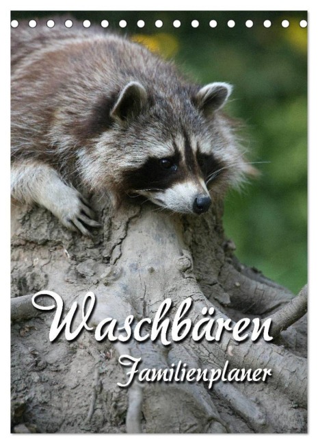 Waschbären Familienplaner (Tischkalender 2027 DIN A5 hoch), CALVENDO Monatskalender - Martina Berg