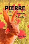 Cover-Bild zum Titel 'P I E R R E' von 'Peter Mois'