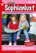 Cover-Bild zum Titel 'Das schwerwiegende Missverständnis' von 'Marisa Frank'