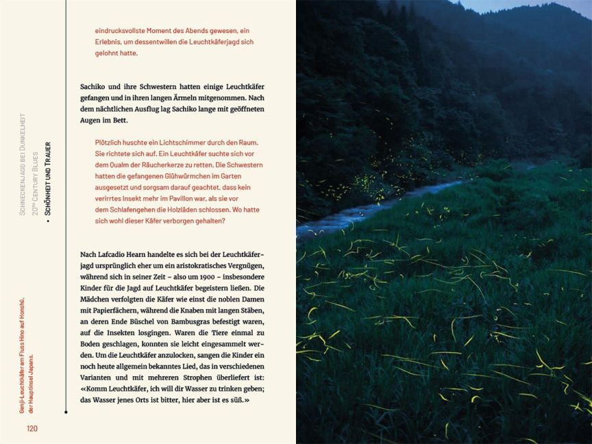InsideView 4