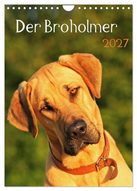 Der Broholmer (Wandkalender 2027 DIN A4 hoch), CALVENDO Monatskalender - Nixe