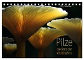 Pilze - die Stars der Waldbühne (Tischkalender 2025 DIN A5 quer), CALVENDO Monatskalender - Heinz Schmidbauer