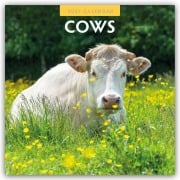 Cover-Bild zum Titel 'Cows - Kühe 2027 - 16-Monatskalender' von 'Robin Red'