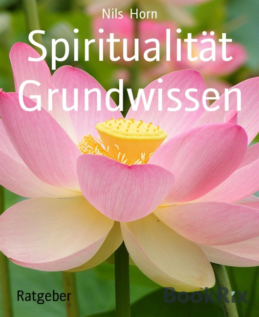Spiritualität Grundwissen - Nils Horn