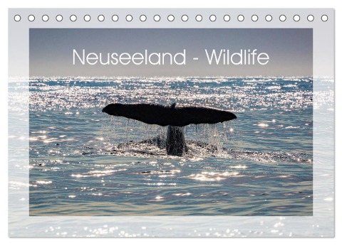 Neuseeland - Wildlife (Tischkalender 2025 DIN A5 quer), CALVENDO Monatskalender - Peter Schürholz