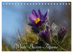 Cover-Bild zum Titel 'Wilde Blüten-Träume (Tischkalender 2026 DIN A5 quer), CALVENDO Monatskalender' von 'Lutz Klapp'