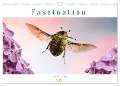 Faszination Insektenflug (Wandkalender 2024 DIN A3 quer), CALVENDO Monatskalender - André Skonieczny