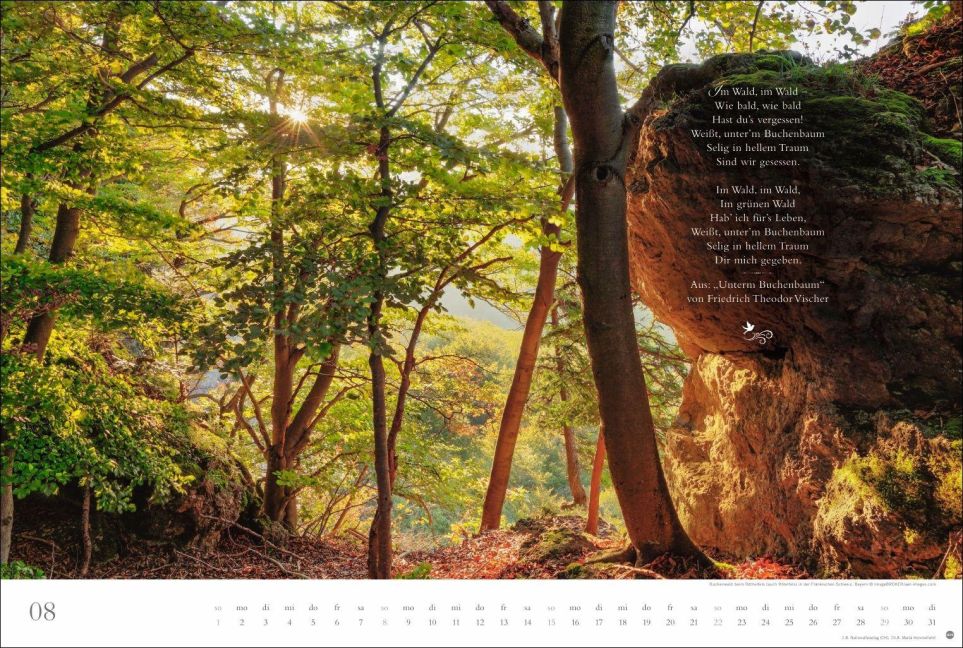 InsideView 8