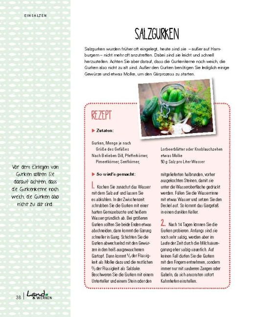 InsideView 6