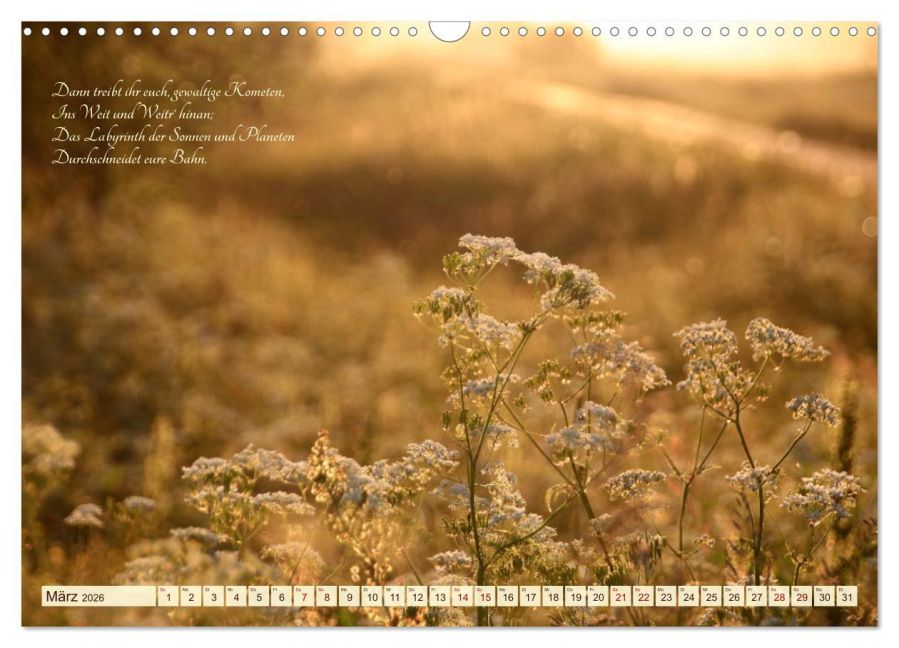 InsideView 8